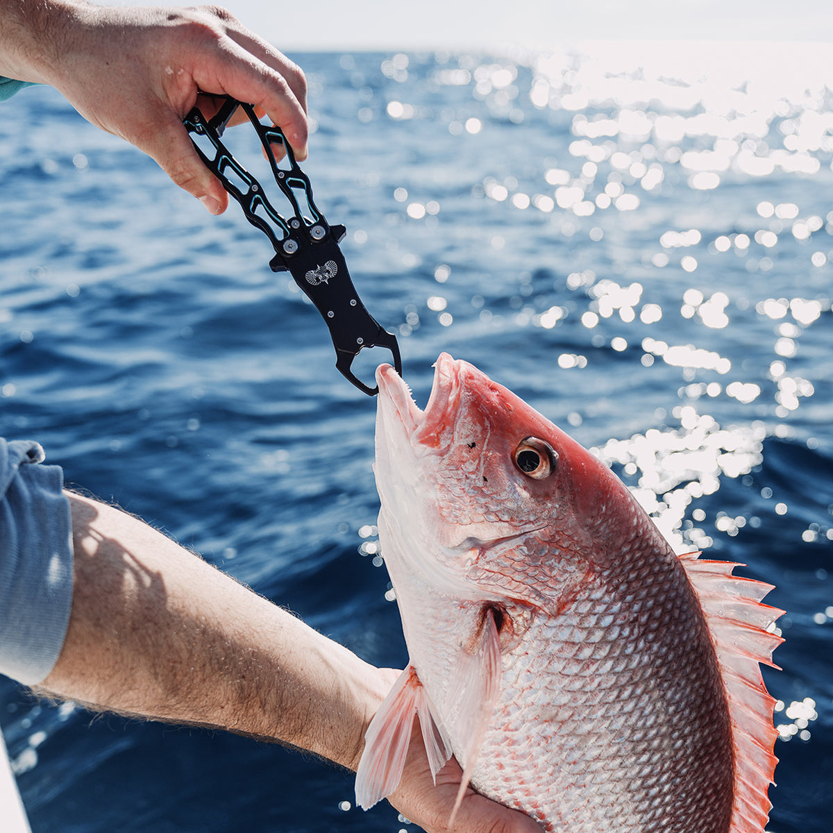 Fisherman's Bundle - Toadfish - Fishing Accessories